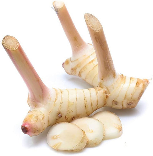 Galangal