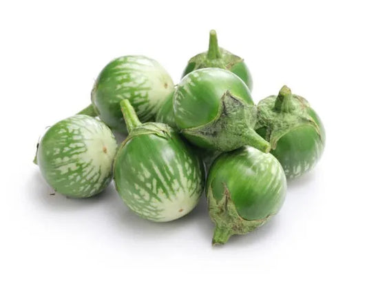 Thai Eggplant (Green Aubergine)