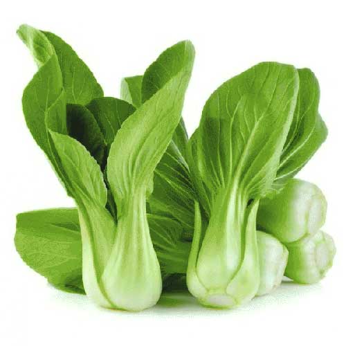 Green Pak Choi